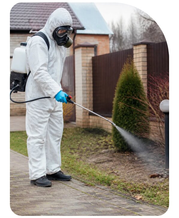 Дезинфекция участка под ключ в Инте по цене от 5071 р. | Сенат-Инт